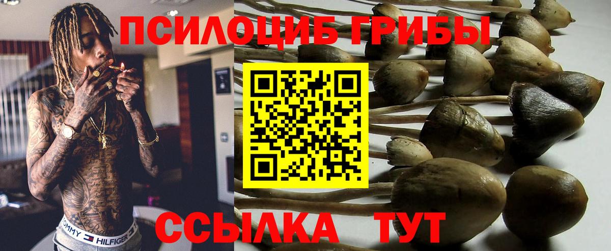 Псилоцибиновые грибы ЛСД Майкоп