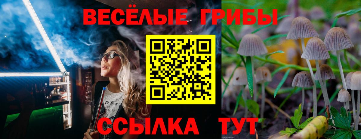 Меф   COCAIN  Майкоп  Бошки Шишки  Вход с VPN  ГАШ  Бошки Шишки 