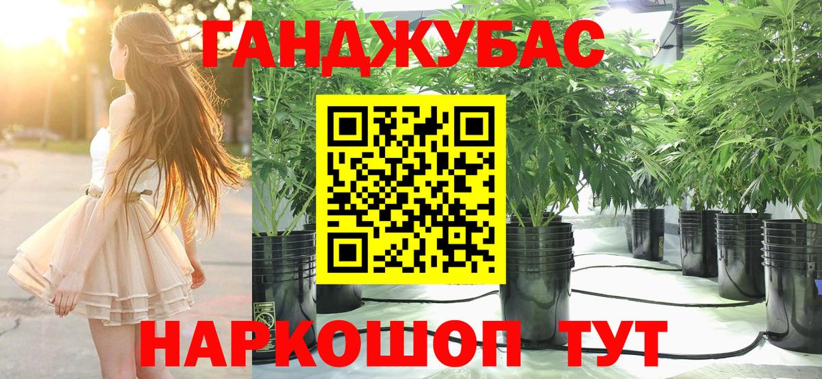 Бошки Шишки Bruce Banner  Канабис план  Вход с VPN  Майкоп  Канабис Bruce Banner 